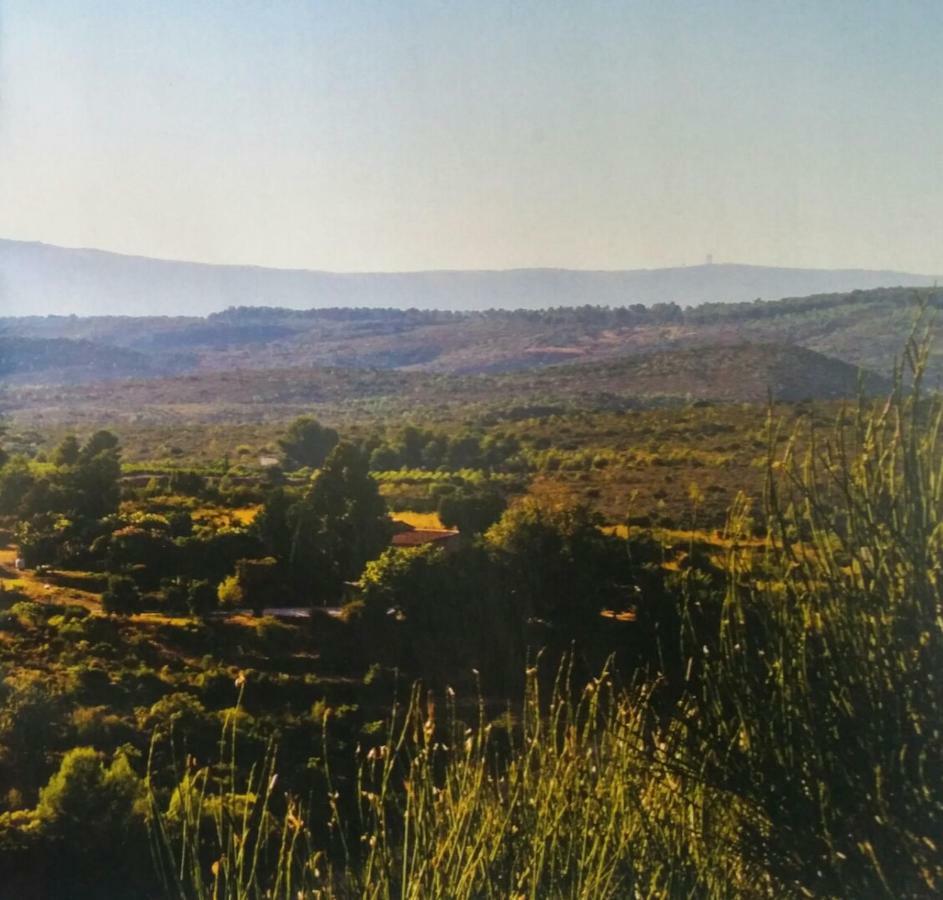 Appartement Vue Montagne Garéoult Zewnętrze zdjęcie